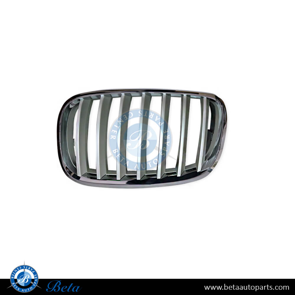 E70 GRILL CHROM AND SILVER E70 GRILL CHROM AND SILVER